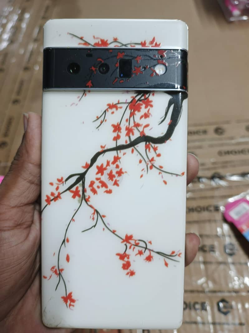 Google Pixel 6 Pro 0