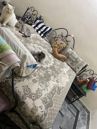 Iron rod king size bed with dressing and stool plus 2 side tables