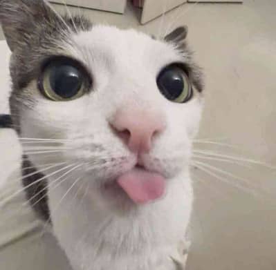 umar
