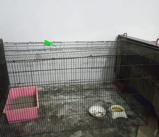 folding & partition cage — photo 3