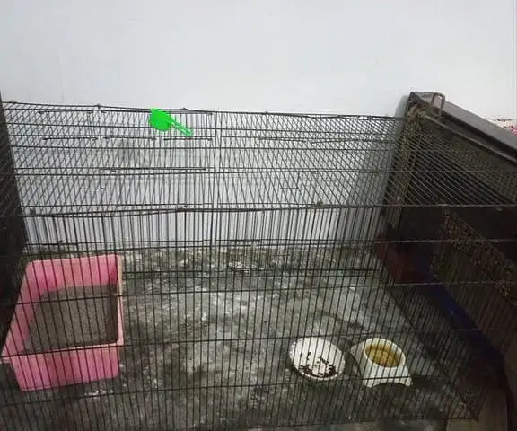 folding & partition cage — photo 4