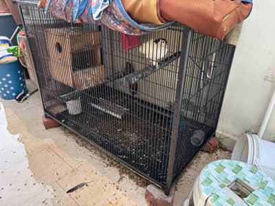 Cage for parrots