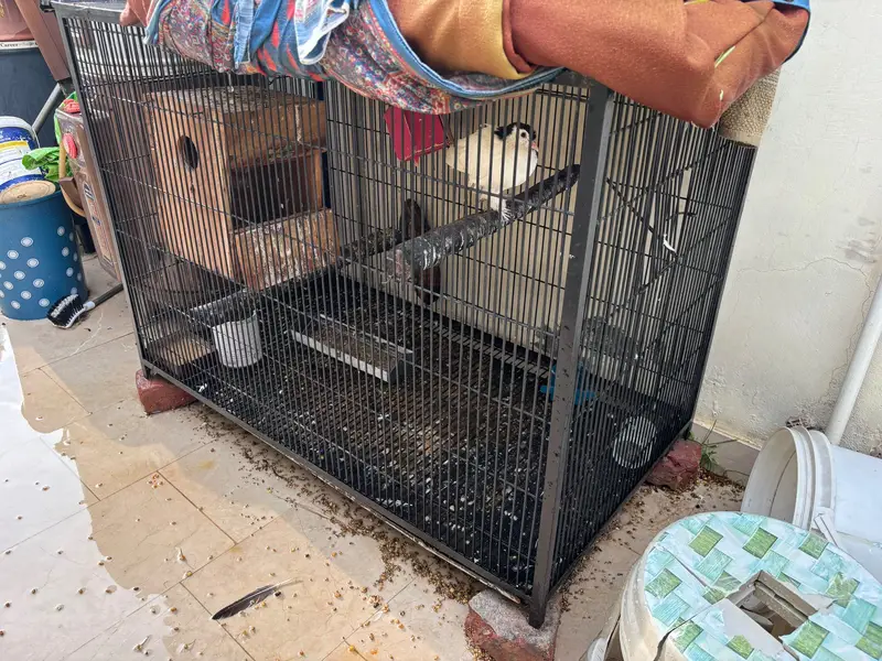 Cage for parrots — photo 2