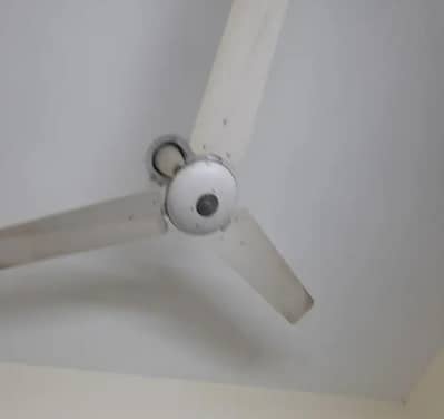GFC Ceiling Fan For Sale