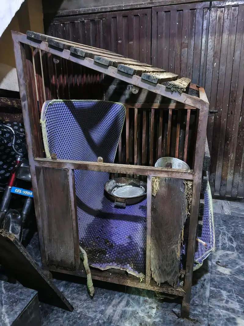 Dog cage — photo 6