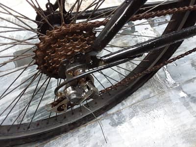 zabardat cycle hai