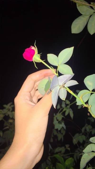 urgent need girl staf