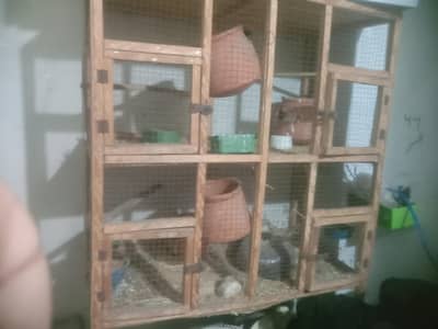 cage for birds