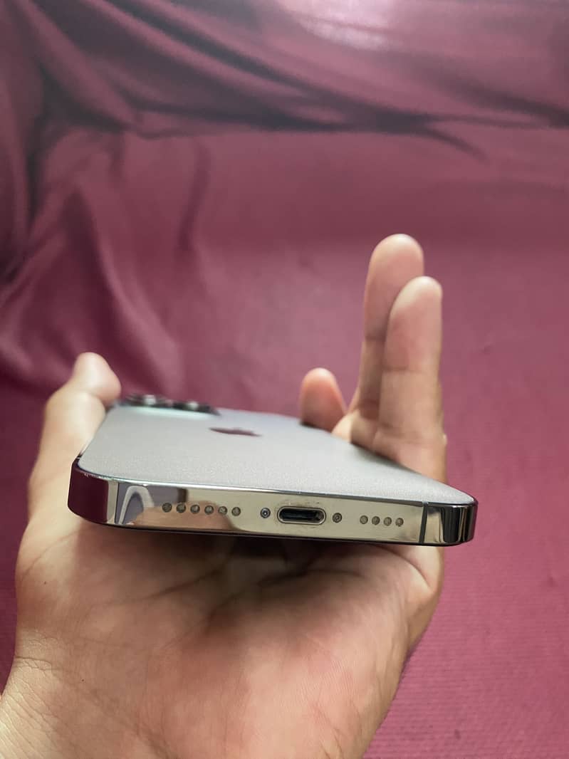 Iphone 13 Pro Max 1