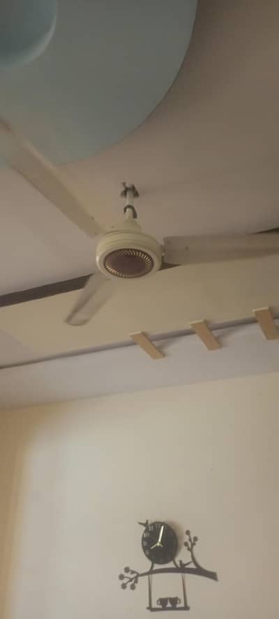 3 fan pak national