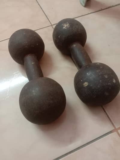 8Kg Dumbells pair