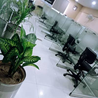 Call Center Seats Available for Rent