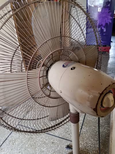 indus fan