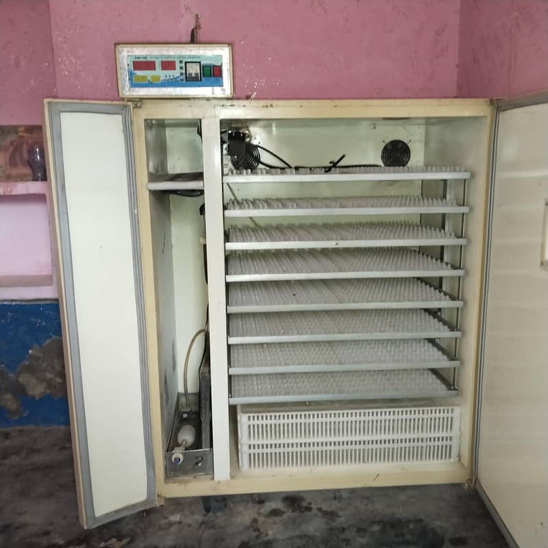 incubator 0