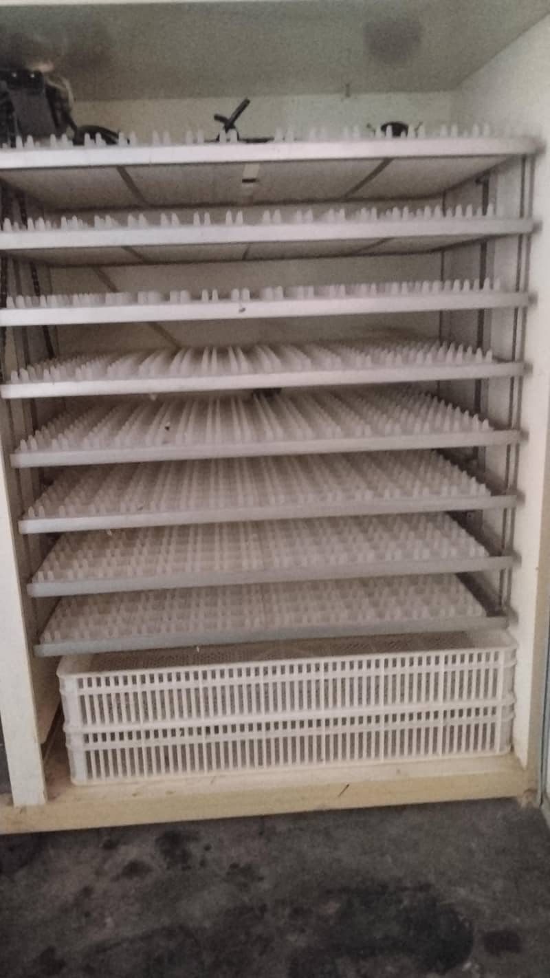 incubator 4