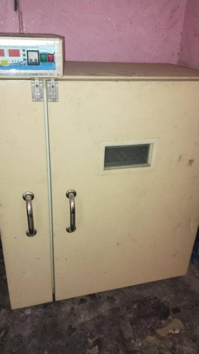 incubator 5