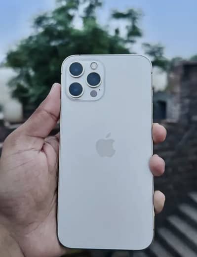 iPhone 12 Pro Max FU Golden