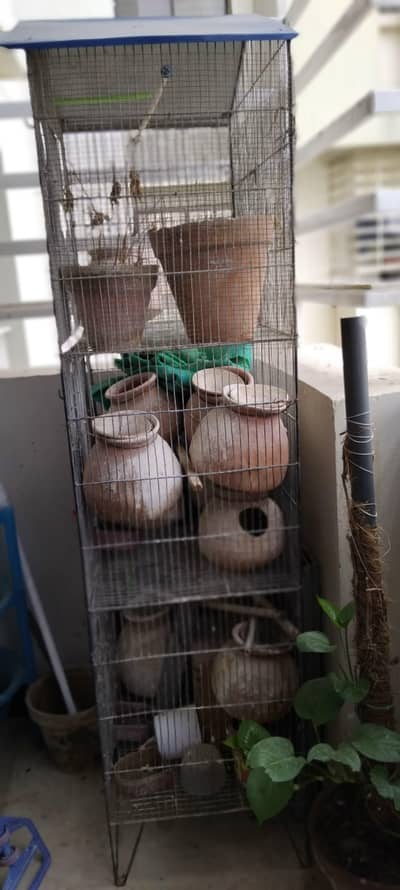 birds cage