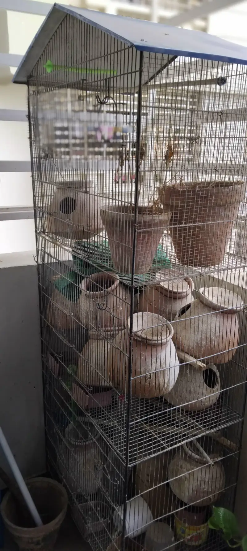 birds cage — photo 2