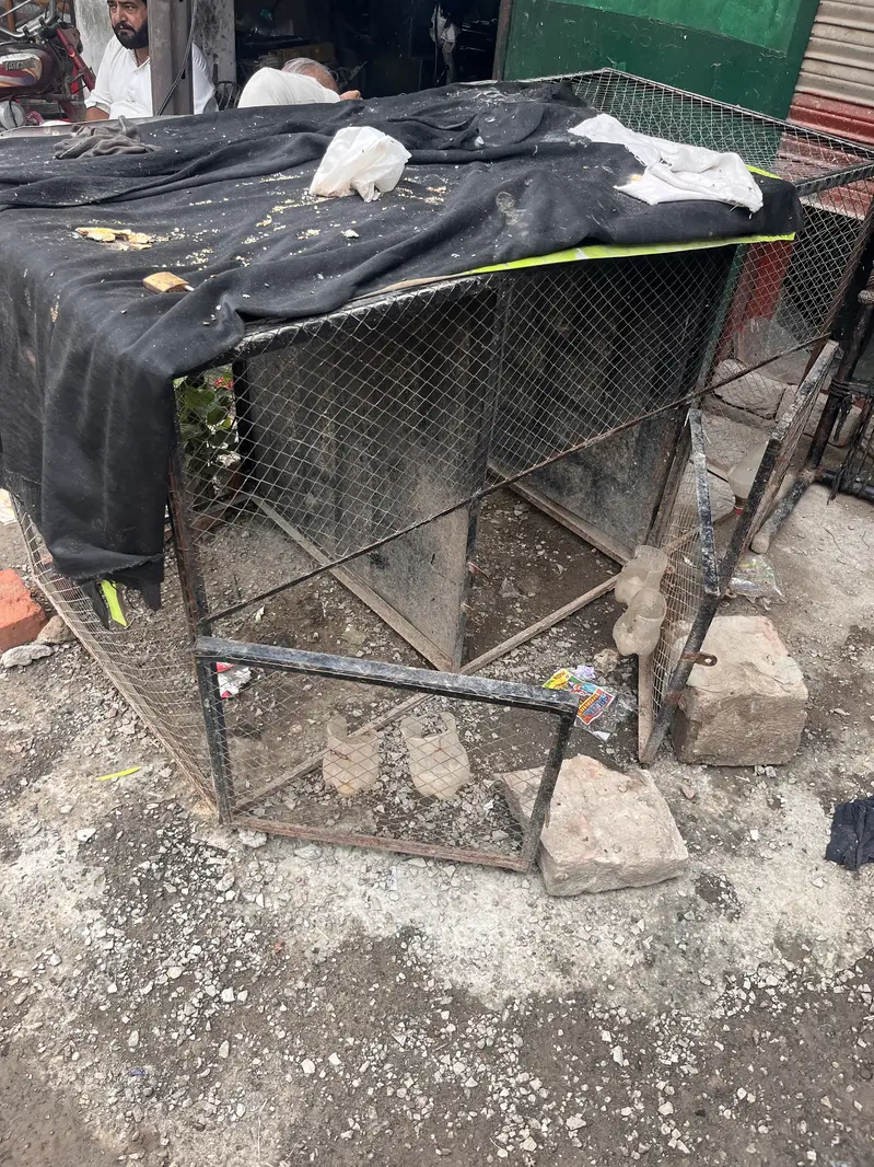 Hen cage good condition — photo 2