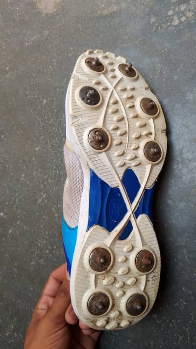 Cricket spikes shoes