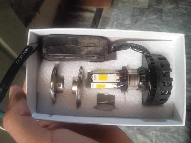 molotled lite 4