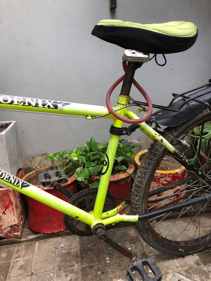cycle 0