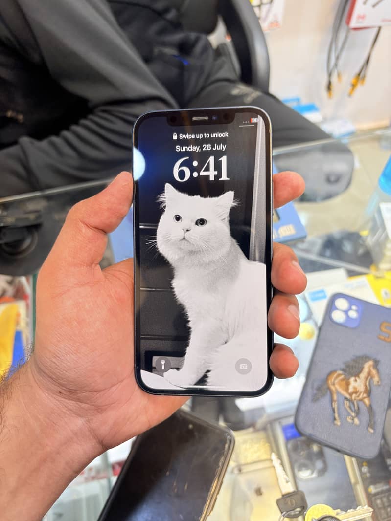 Apple iPhone 12 0