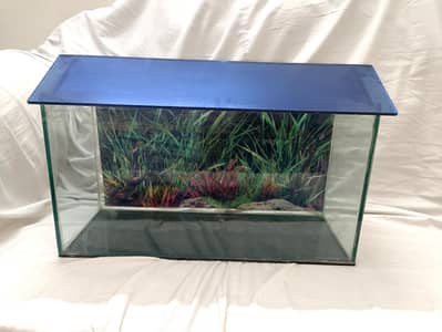 Aquarium 2 feet for sale