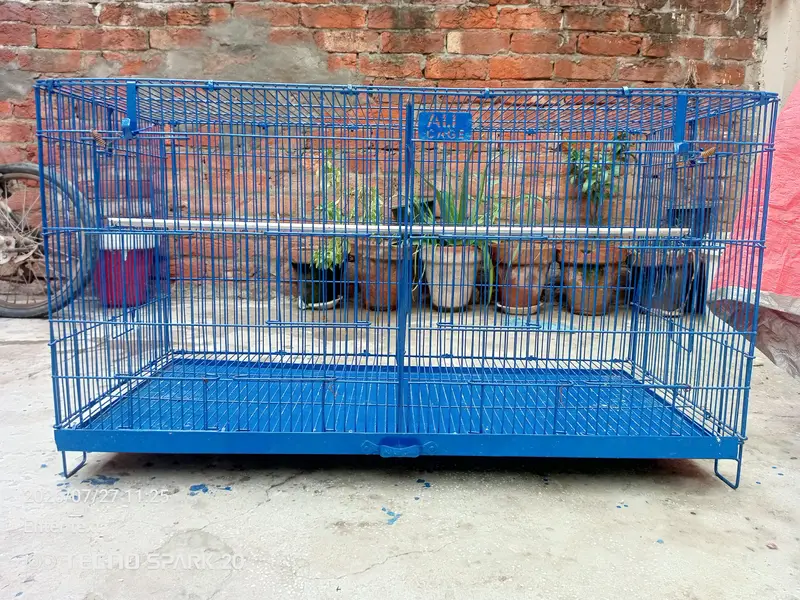 bird cage — photo 2