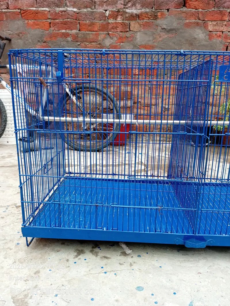 bird cage — photo 3