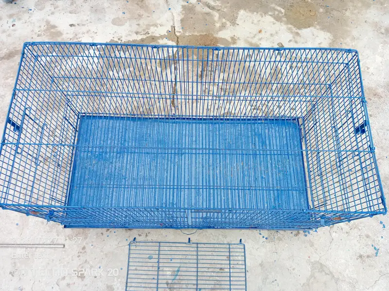 bird cage — photo 4