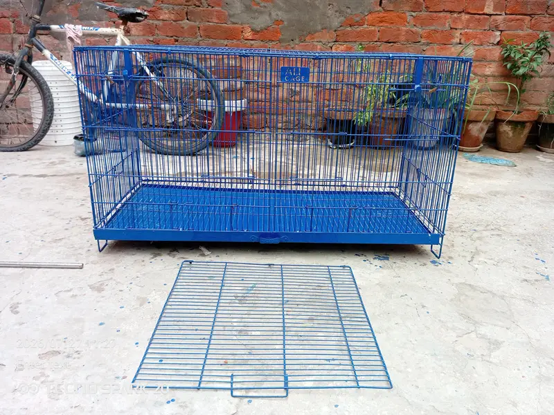 bird cage — photo 5
