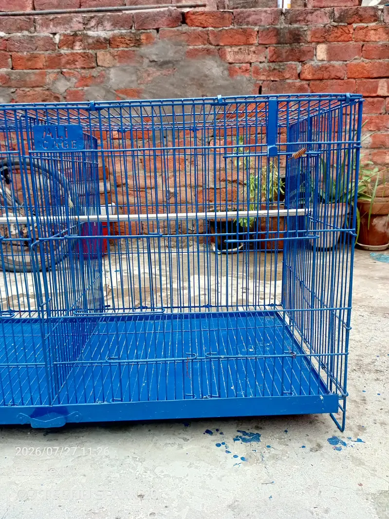 bird cage — photo 6