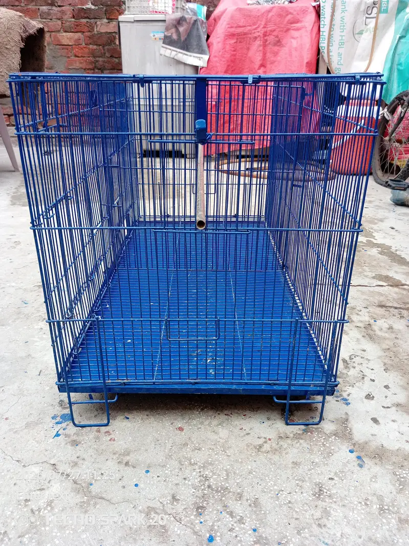 bird cage — photo 7