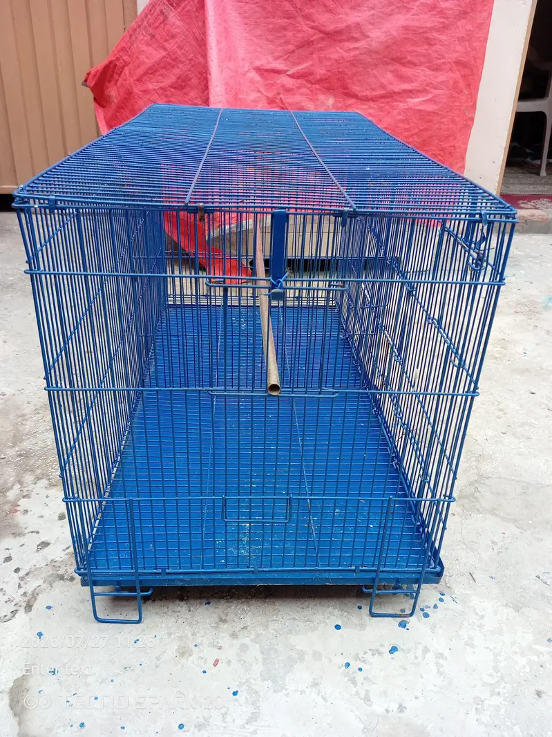 bird cage — photo 8