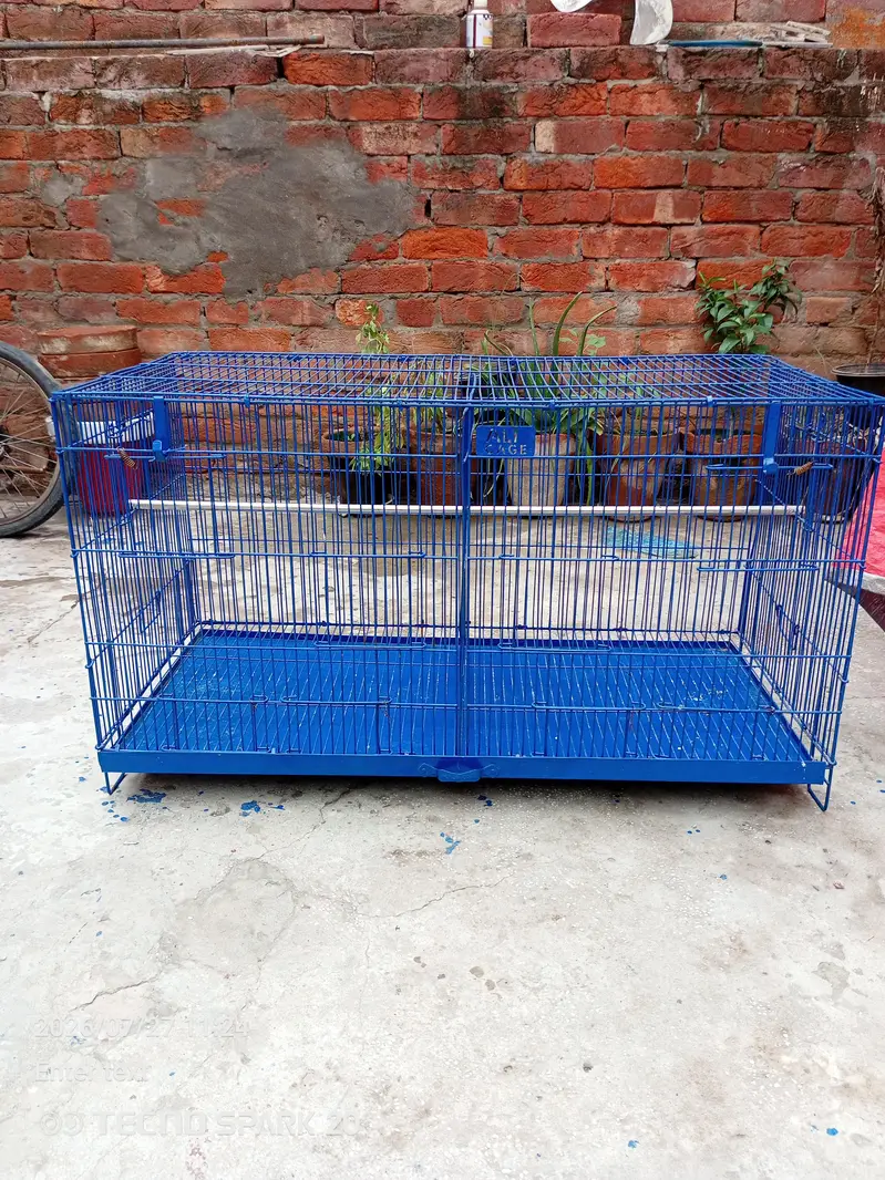 bird cage — photo 9