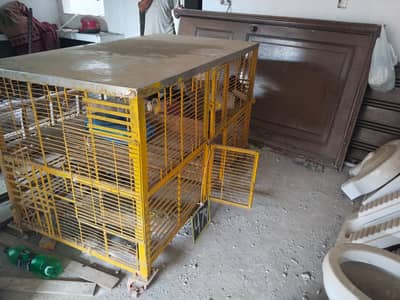 chicken counter for sale