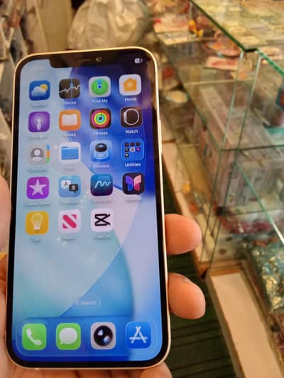 Apple iPhone 12