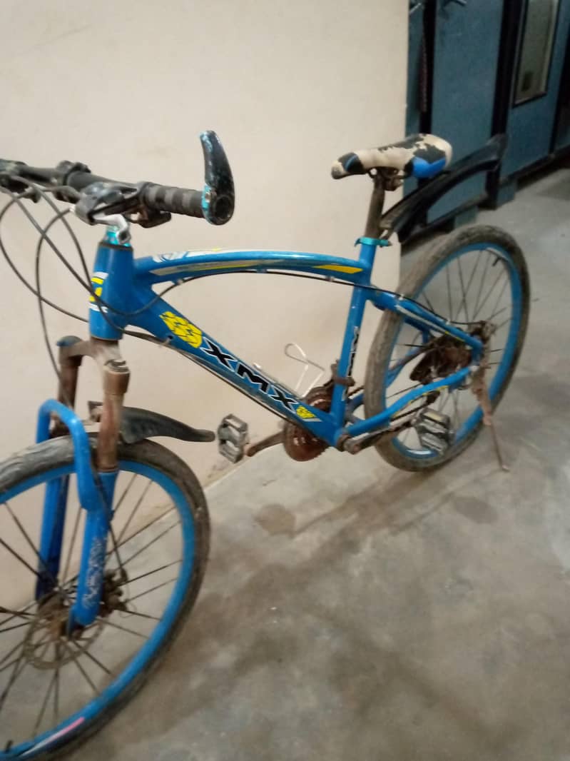 Big bicycle 1