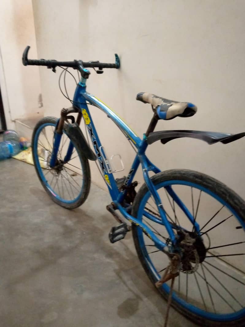 Big bicycle 2