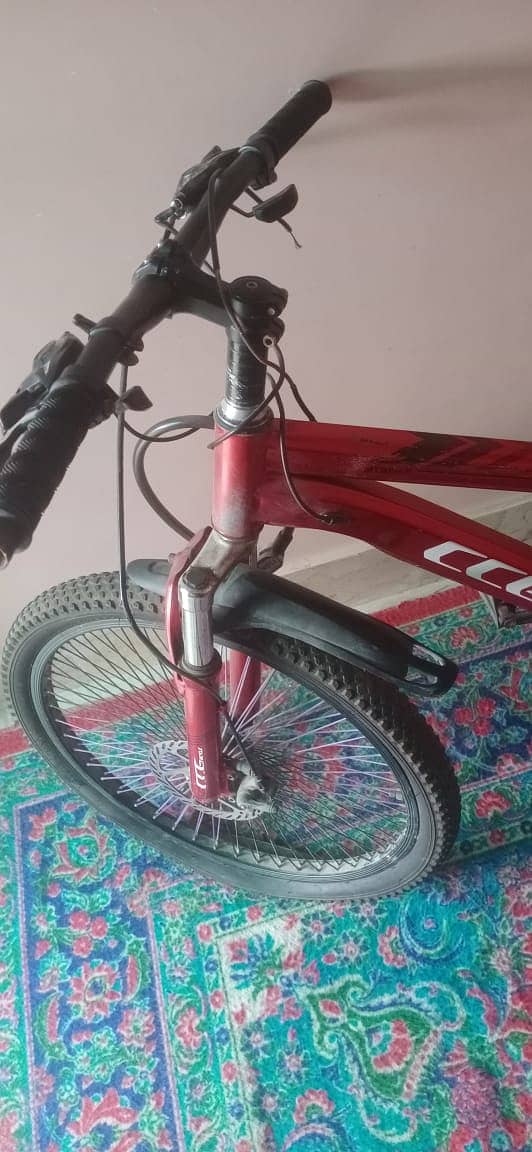 CCG bicycle 0