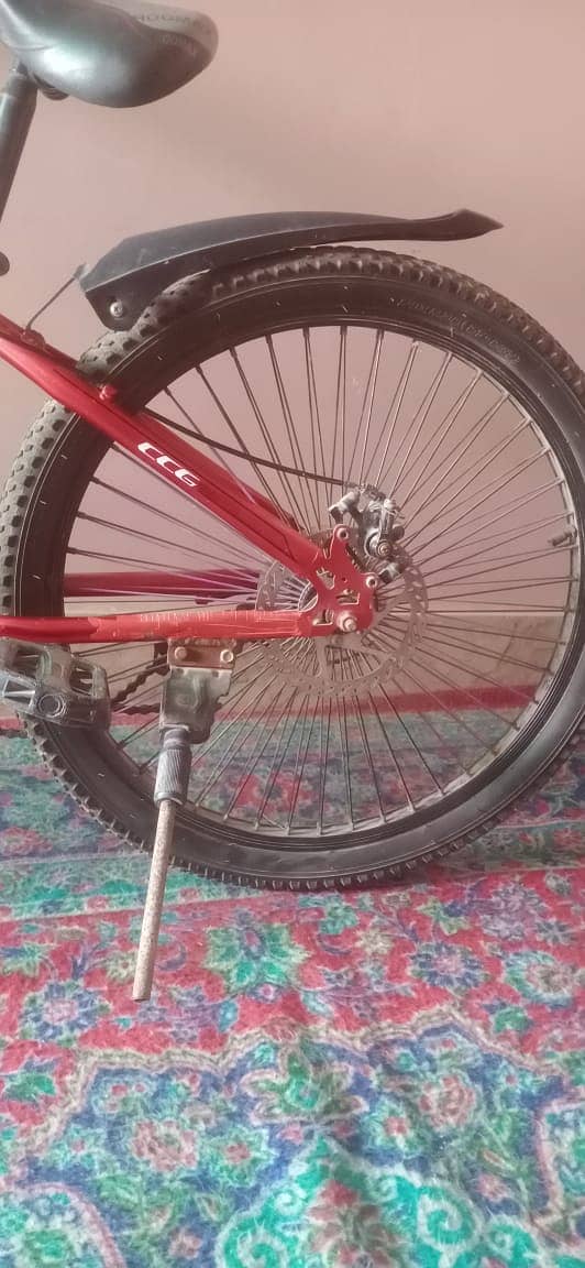 CCG bicycle 2
