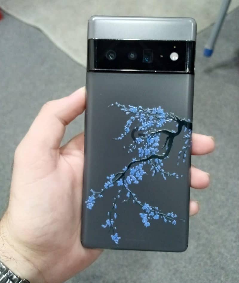 Google Pixel 6 Pro 1