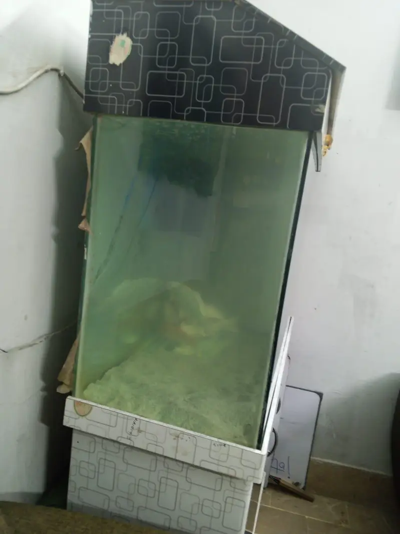 Aquarium Only — photo 2