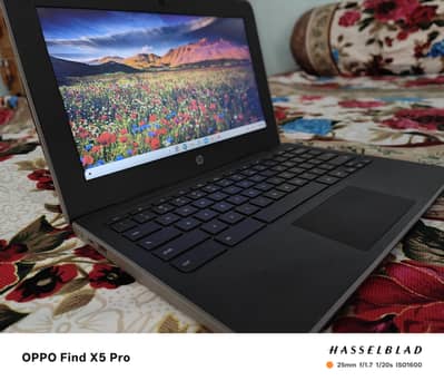 Chromebook hp