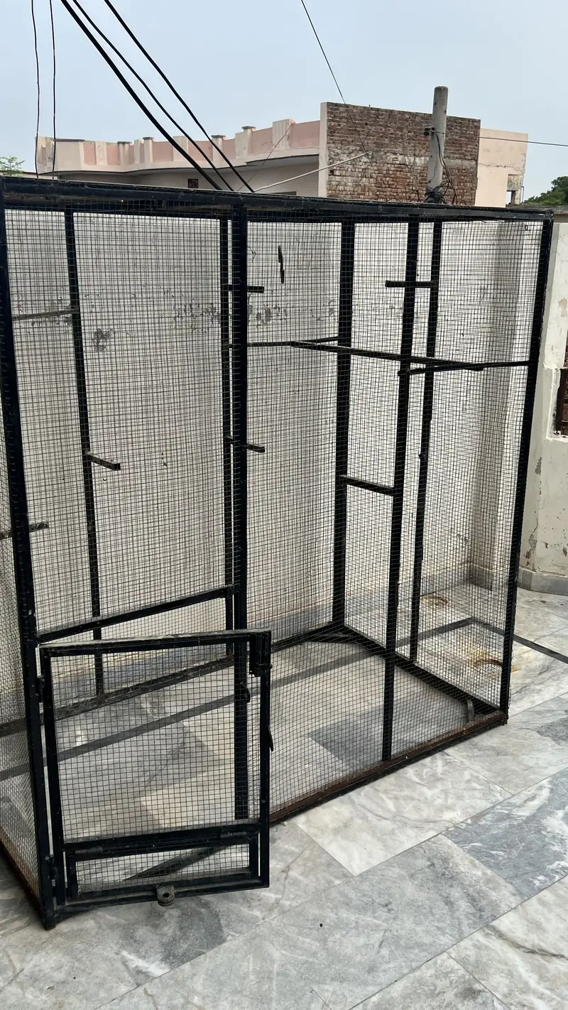Cage For Sale  condition 10/10 Hight 5 feet Length 5 Feet Depth 3 Feet — photo 2
