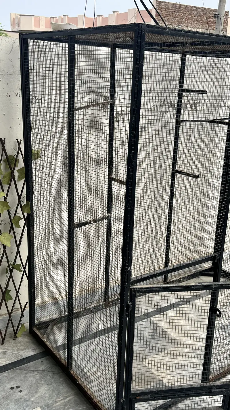 Cage For Sale  condition 10/10 Hight 5 feet Length 5 Feet Depth 3 Feet — photo 3