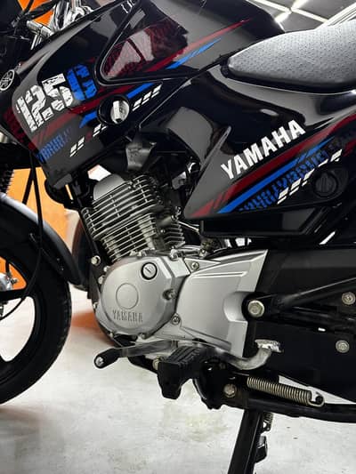 Ybr 125