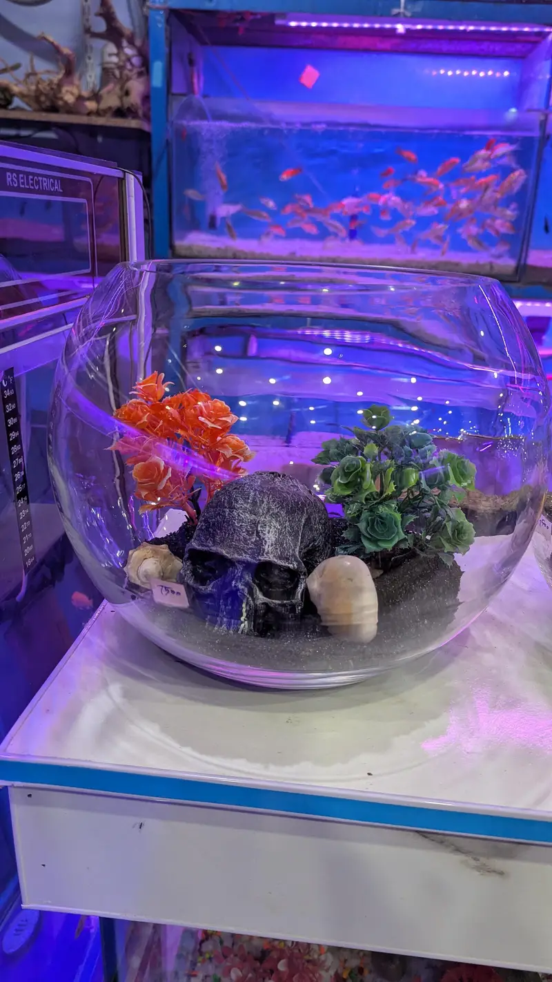 Filters Fish Food Air Pumps Lights — photo 8